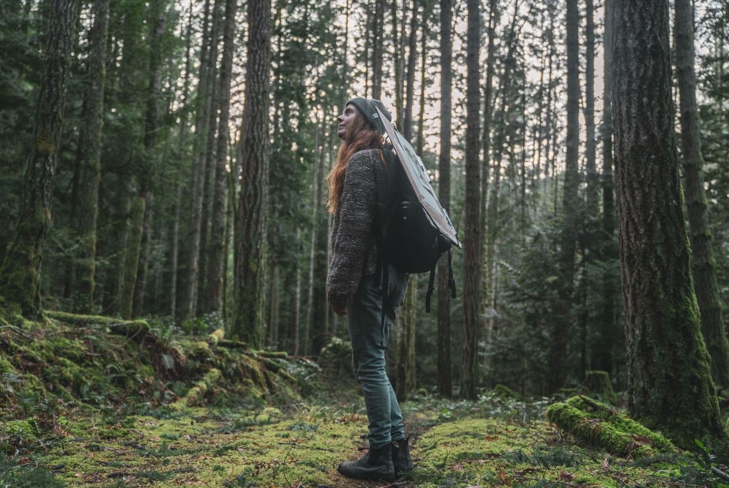 Hiker in the woods with a backpack